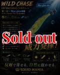 WILD CHASE 2.5号（09）MAD GOLD メタグリーン