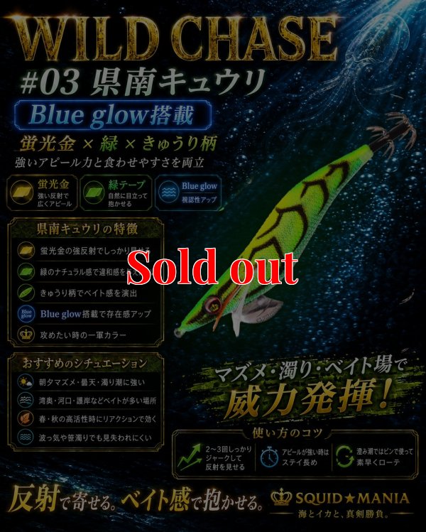 画像1: WILD CHASE 3.0号（03）県南キュウリ