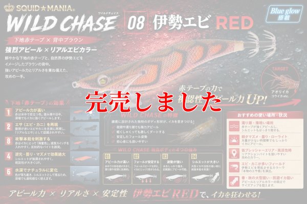 画像1: 3.5号RT（08）伊勢エビRED