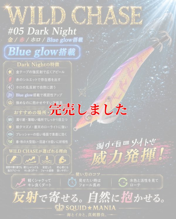 画像3: 4.0plus（05）Dark Night