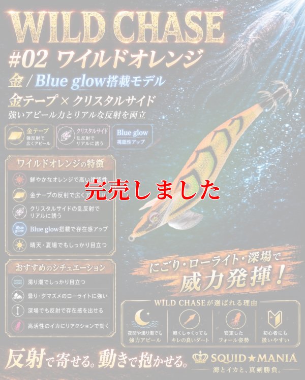 画像1: 3.5号 (02) ワイルド オレンジ