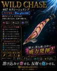 画像1: WILD CHASE  3.5号シャロー（07）セクシーシュリンプ (1)