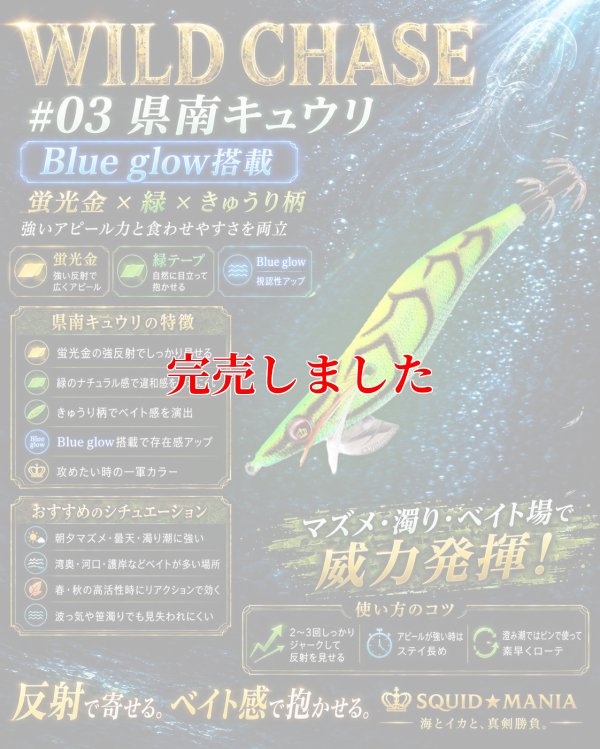 画像1: 3.5号 (03）県南キュウリ