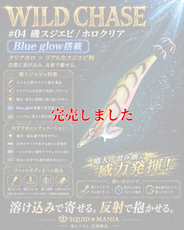 画像1: 3.0号（04）磯スジエビ/ホロクリア