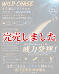 3.5号RT (12）茶豆アジメタホロ