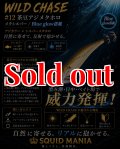 WILD CHASE 2.5号（12）茶豆アジメタホロ