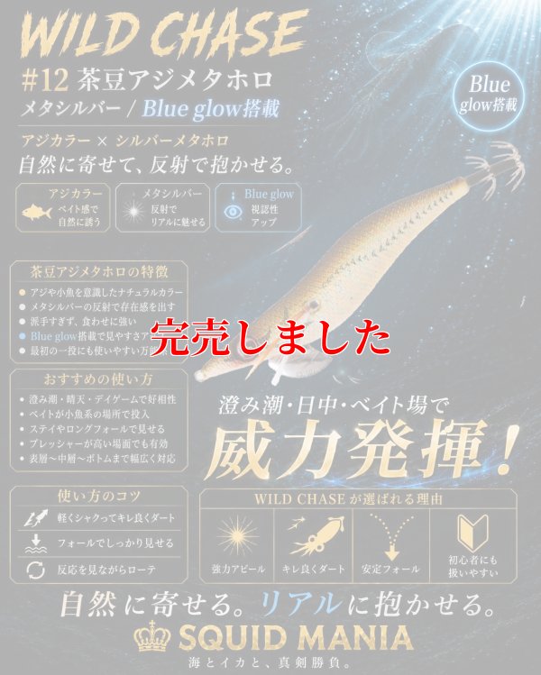画像1: 2.5号（12）茶豆アジメタホロ