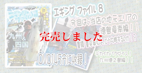 画像2: エギングファイル 8　( VIII )  四国&九州編　