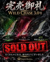 🔥WILD CHASE 3.0号・3色完売🔥