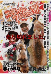 画像1: エギングファイル 13 (XIII)　長崎五島　オカッパリでハッスル! 編 (1)