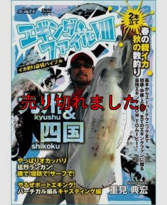 画像1: エギングファイル 8　( VIII )  四国&九州編　 (1)