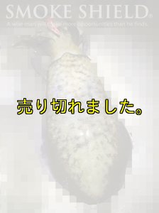 画像7: X8-PE 0.6-200m イエロー4m/グリーン1m (7)