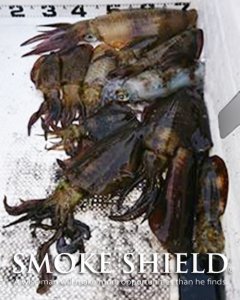 画像12: X8-PE 0.4-240m イエロー4m/グリーン1m (12)