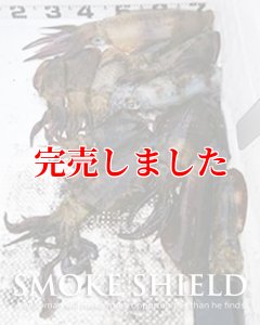 画像12: スクマニ X8-PE SMOKE SHIELD 0.4-240ｍ (12)