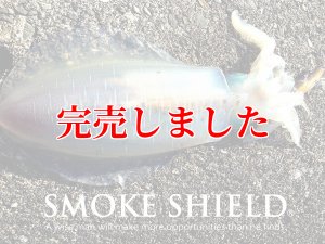 画像16: スクマニ X8-PE SMOKE SHIELD 0.4-240ｍ (16)