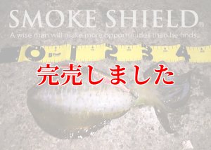 画像8: スクマニ X8-PE SMOKE SHIELD 0.4-240ｍ (8)