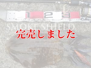 画像15: スクマニ X8-PE SMOKE SHIELD 0.4-240ｍ (15)