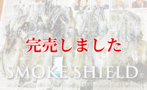 画像13: スクマニ X8-PE SMOKE SHIELD 0.4-240ｍ (13)