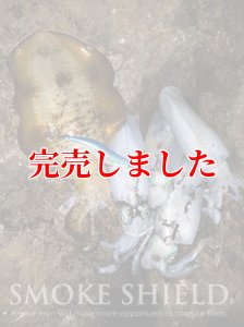 画像9: スクマニ X8-PE SMOKE SHIELD 0.4-240ｍ (9)