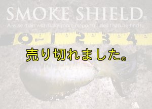 画像13: X8-PE 0.5-210m スモークシールド80cm/イエロー20cm (13)