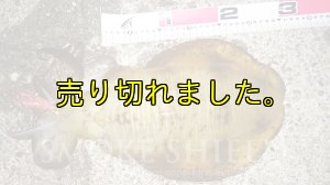 画像15: X8-PE 0.6-200m イエロー4m/グリーン1m (15)