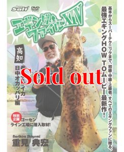 画像1: 重見典宏・エギングファイル14　XIV (1)