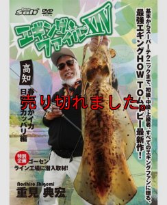 画像1: 重見典宏・エギングファイル14　XIV (1)
