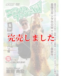 画像1: 重見典宏・エギングファイル14　XIV (1)