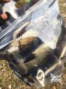 画像3: 極強マルチスタンドBAG /Mサイズ /5枚入り (3)