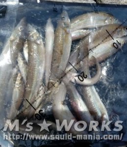 画像20: 極強マルチスタンドBAG /Mサイズ /5枚入り (20)