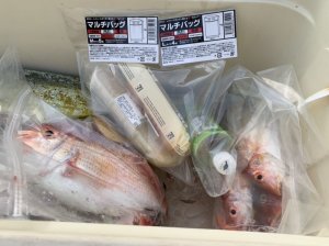 画像19: マルチバッグ Mサイズ  (5枚入り)  (19)