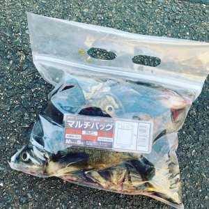 画像1: 超お得！マルチバッグ M5枚入り×5セット=計25枚入り (1)