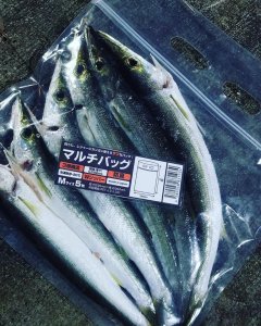 画像13: マルチバッグ Mサイズ  (5枚入り)  (13)