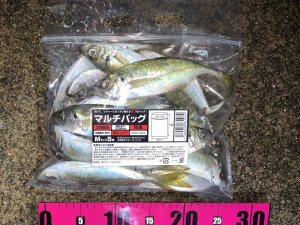 画像9: マルチバッグ Mサイズ  (5枚入り)  (9)