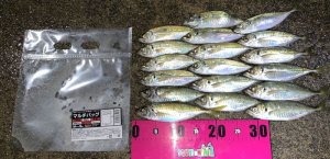 画像8: マルチバッグ Mサイズ  (5枚入り)  (8)