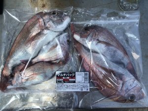 画像17: マルチバッグ Mサイズ  (5枚入り)  (17)