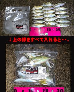 画像12: マルチバッグ Mサイズ  (5枚入り)  (12)