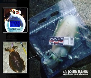 画像15: マルチバッグ Mサイズ  (5枚入り)  (15)