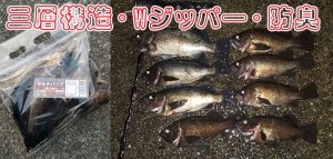 画像5: マルチバッグ Mサイズ  (5枚入り)  (5)