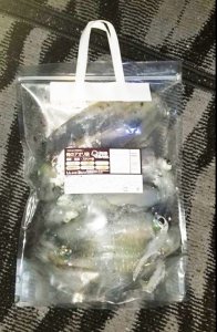 画像6: 『俺のアオリ袋』LL セット（3枚入り） (6)