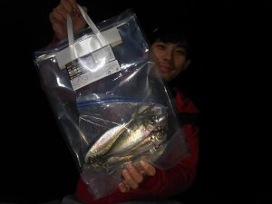 画像14: 『俺のアオリ袋』LL セット（3枚入り） (14)