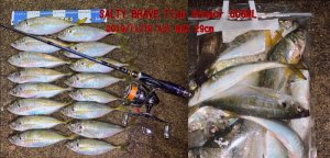 画像15: 『俺のアオリ袋』LL セット（3枚入り） (15)