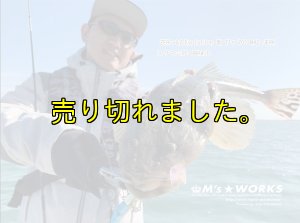 画像15: X8-PE 0.5-210m スモークシールド80cm/イエロー20cm (15)