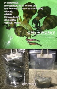 画像20: 『俺のアオリ袋』LL セット（3枚入り） (20)