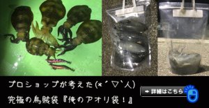 画像19: 『俺のアオリ袋』LL セット（3枚入り） (19)