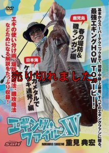 画像1: 重見典宏 エギングファイル vol.15（XV） (1)