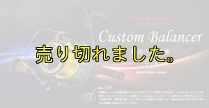 画像10: スクマニ限定 LIVRE カスタムバランサー / ALL BLACK  type-2 / C1 (10)