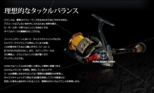 画像11: スクマニ限定 LIVRE カスタムバランサー / ALL BLACK  type-2 / C1 (11)