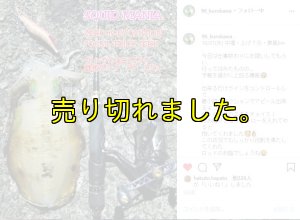 画像19: ZERO-G EVOLUTION LIMITED 攻 706ML Trick Jerk LTD (19)