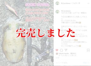 ZERO-G EVOLUTION LIMITED 攻 706ML Trick Jerk LTD - エギング